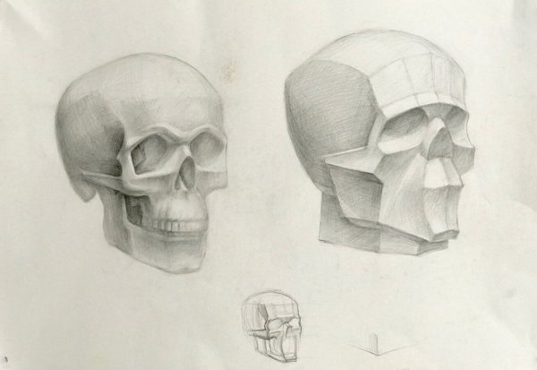 Череп сбоку обрубовка