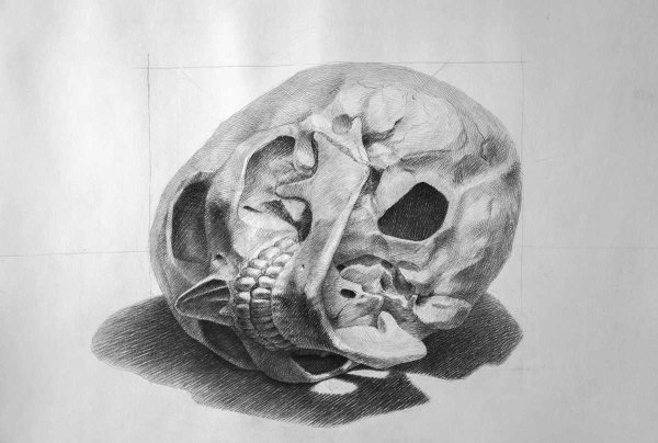 Череп Академический рисунок