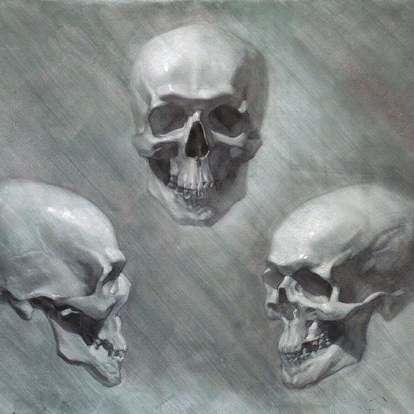 Череп Академический