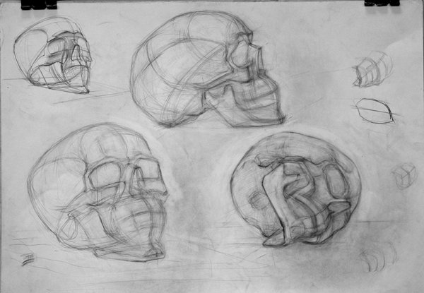 Линейно конструктивное построение черепа