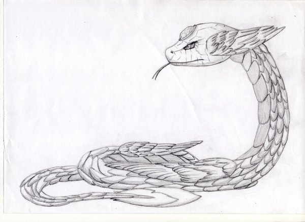Змея карандашом для срисовки