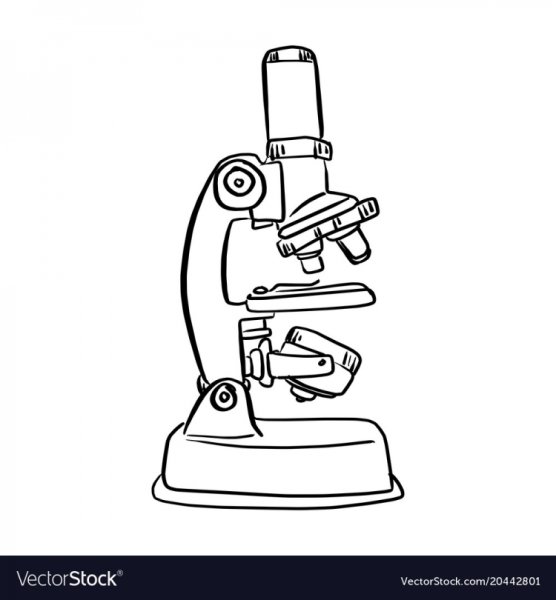 Микроскоп чёрно белый