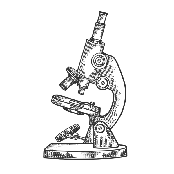 Рисунок микроскопа 5 класс