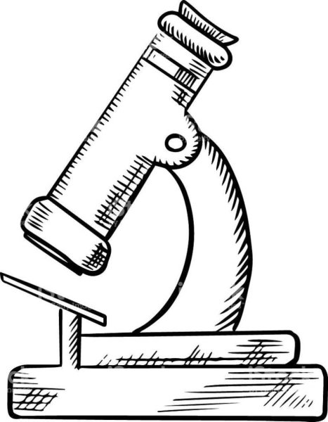 Микроскоп эскиз