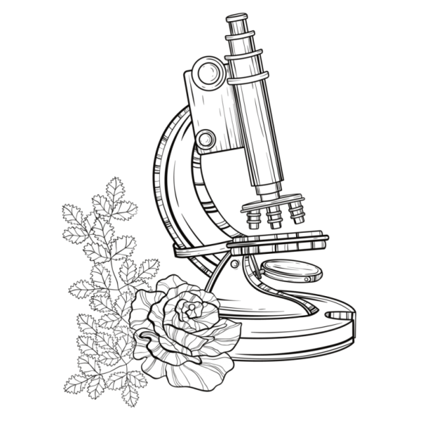 Картинки микроскопа для срисовки