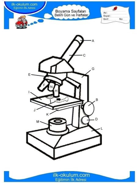 Микроскоп раскраска