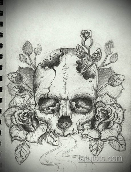 Рисунки карандашом черепа с розами