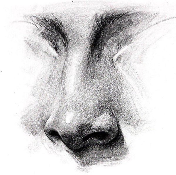 Нос карандашом