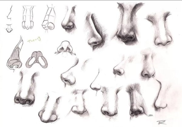 Нос карандашом