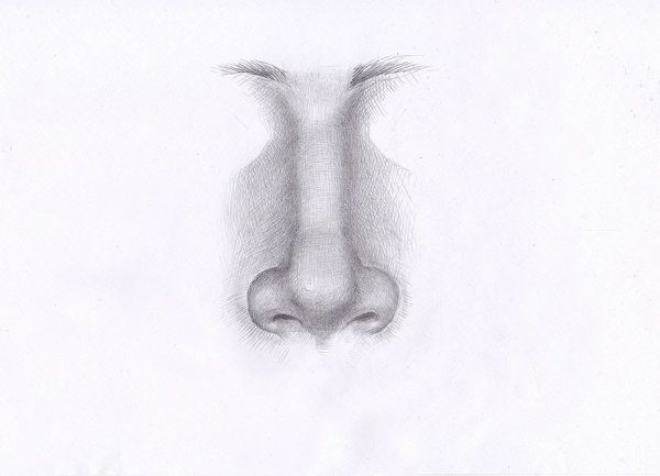 Нос рисунок