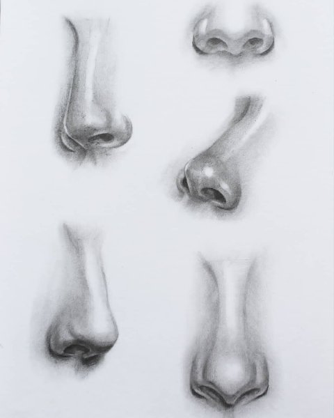 Этапы рисования носа