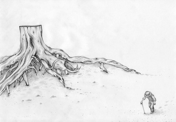 Зарисовки пней