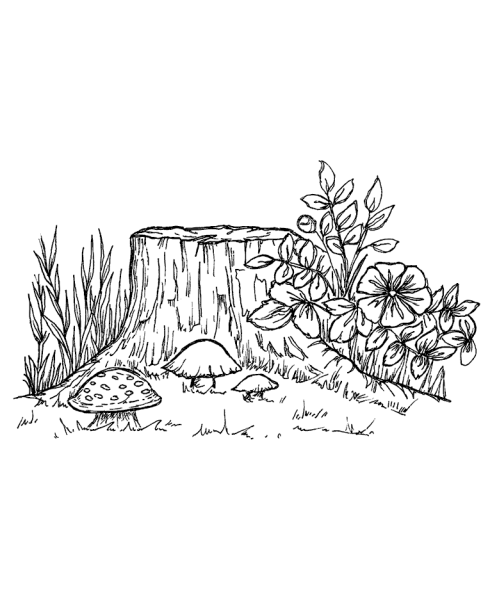 Пень раскраска для детей