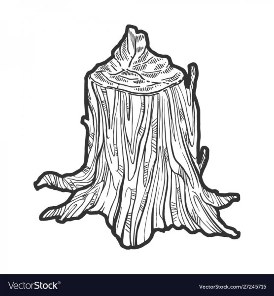 Пень гравюра