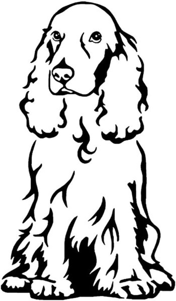 Кокер спаниель для срисовки