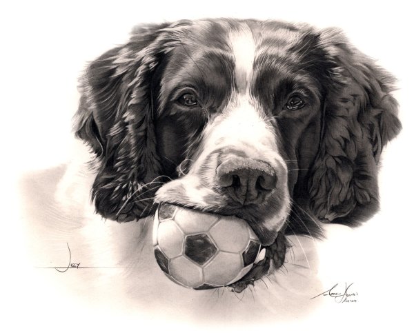 Тату собаки кокер спаниель