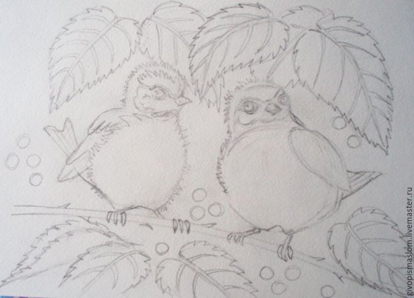 Птица рисунок