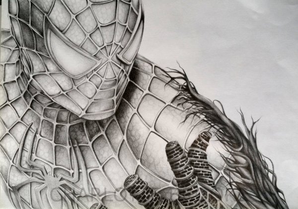 Человек паук рисунок