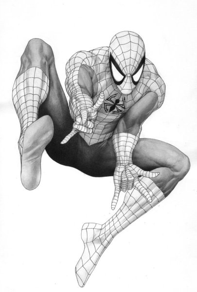 Человек паук рисунок