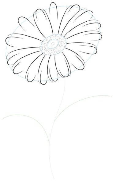 Как нарисовать ромашку карандашом