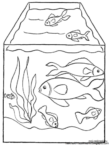 Аквариум раскраска для детей