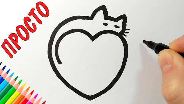 Лёгкие рисунки для срисовки лёгкие приложения