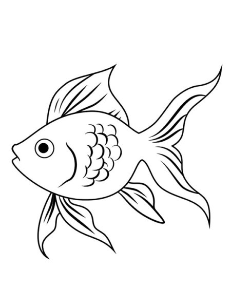 Рыбка вуалехвост раскраска для детей