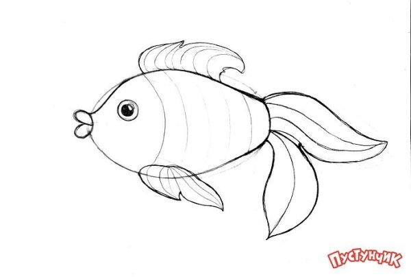 Рыба Графика