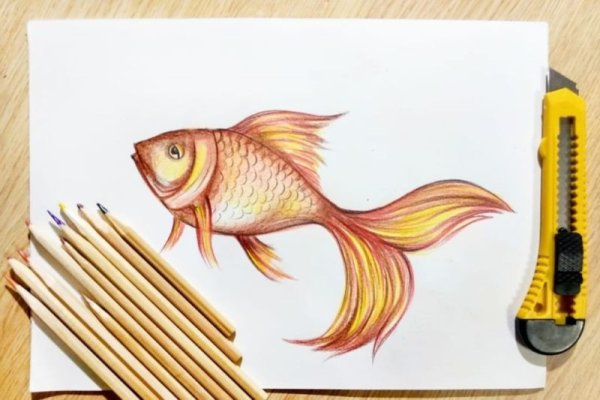 Рисунок к сказке Александра Сергеевича Пушкина Золотая рыбка