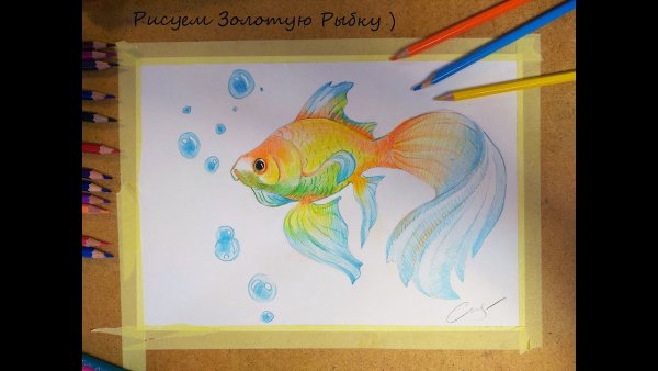 Легкая красивая рыбка