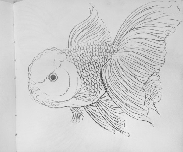 Золотая рыбка сказка Пушкина