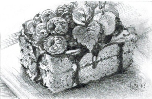 Хаги раскраска для детей