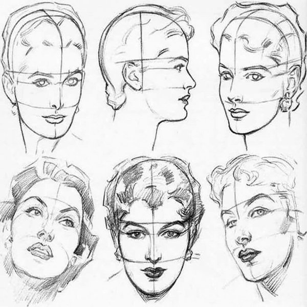 Эндрю Лумис пропорции человека