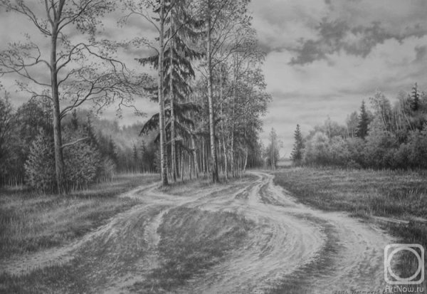 Толстиков Виталий художник карандаш