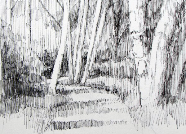 Лес карандашом