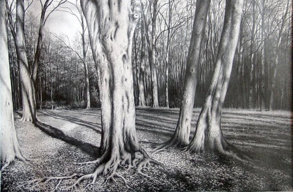 Реалистичный пейзаж карандашом