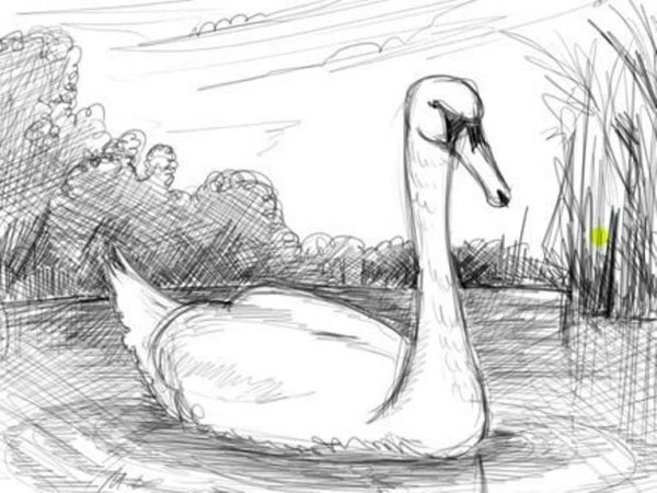 Красивые рисунки карандашом про любовь