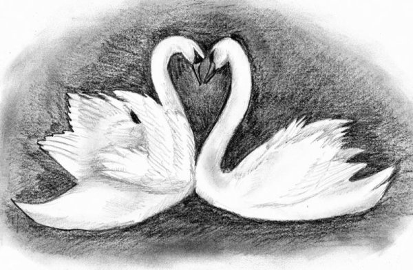 Рисунки карандашом природа и животные