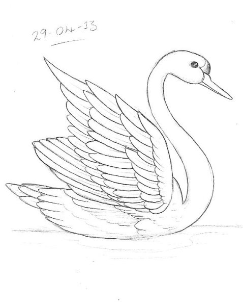 Рисование лебедя