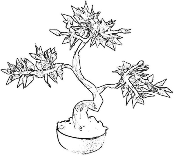 Дерево бонсай раскраска