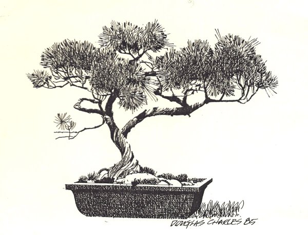 Бонсай скетч маркерами