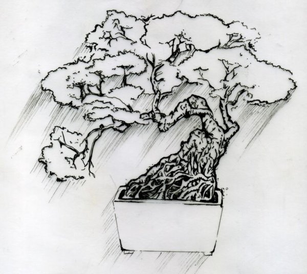 Бонсай карандашом