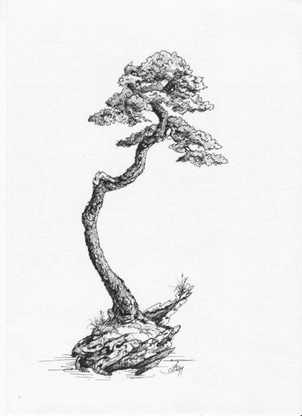 Японская Графика деревья