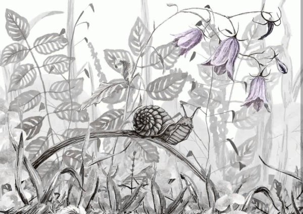 Композиция с насекомыми