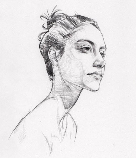 Наброски портретов
