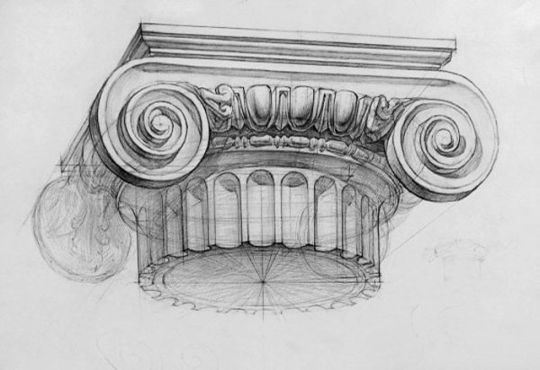 Ионическая Капитель Академический рисунок