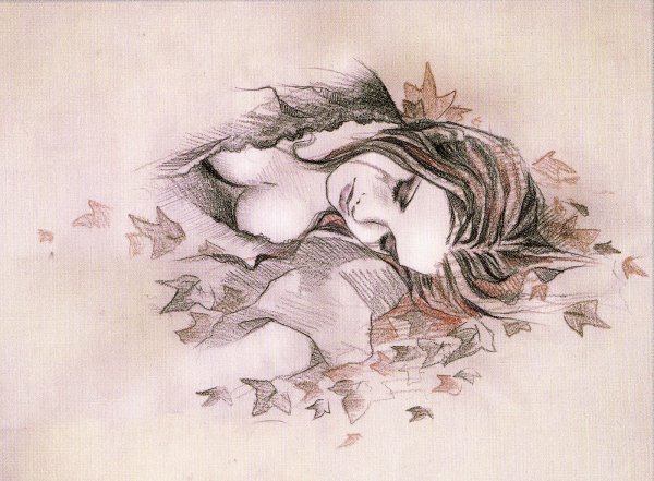 Нежность рисунок