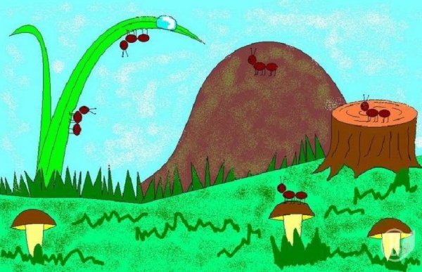 Муравейник раскраска