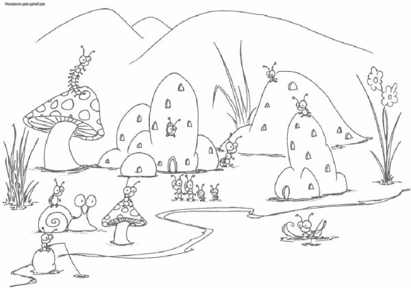 Ориентирование на местности по муравейнику