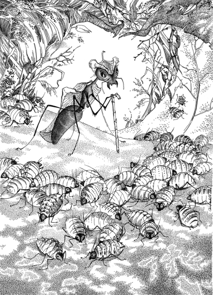 Муравейник раскраска